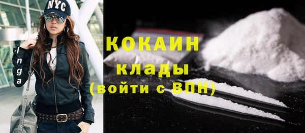прущие грибы Коряжма
