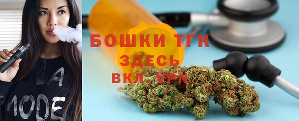 прущие грибы Коряжма