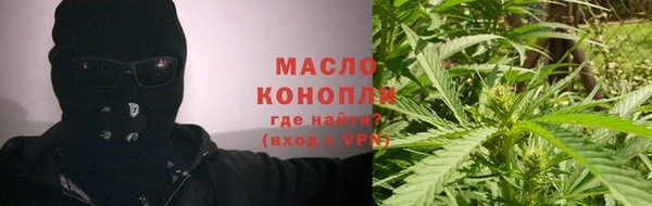 прущие грибы Коряжма