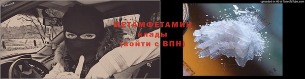 прущие грибы Коряжма