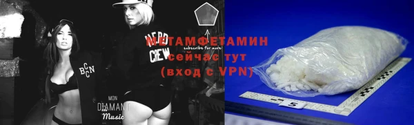 прущие грибы Коряжма