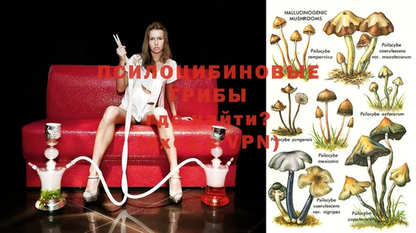 дмт Покров