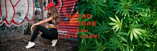 прущие грибы Коряжма