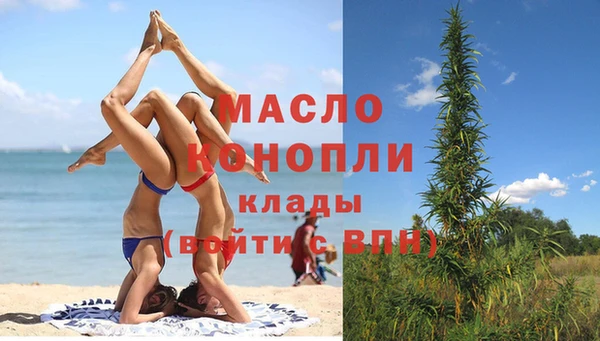 прущие грибы Коряжма