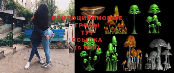 прущий лед Корсаков