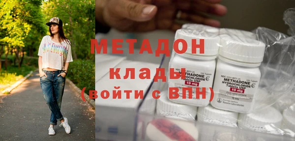 прущие грибы Коряжма