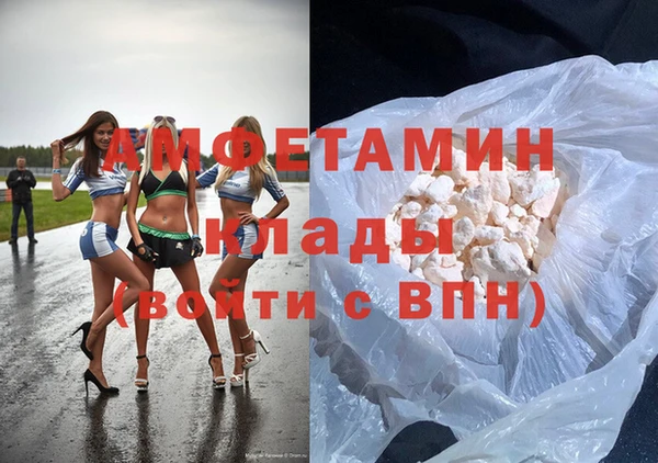 прущие грибы Коряжма