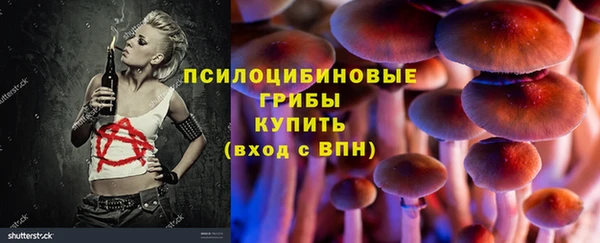 прущий лед Корсаков