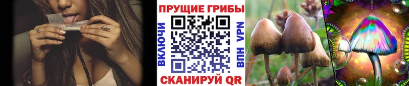 Галлюциногенные грибы MAGIC MUSHROOMS  Маркс 