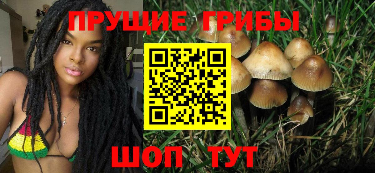 Псилоцибиновые грибы GOLDEN TEACHER Маркс