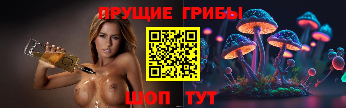 Псилоцибиновые грибы GOLDEN TEACHER  Вход с VPN  Псилоцибиновые грибы мухоморы  дарнет шоп  Маркс 